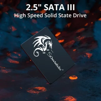 Interne Somnambulist SSD-Laufwerk von 120gb - 1TB