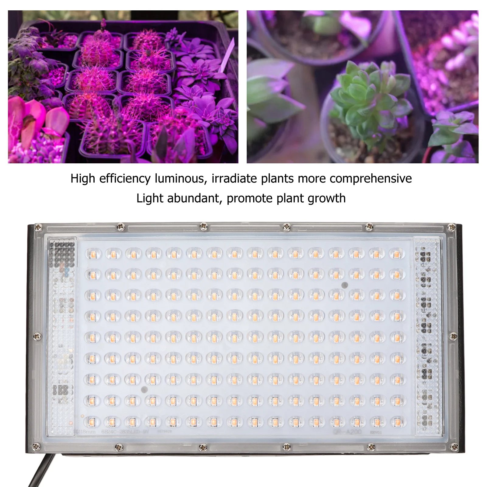 200W LED-Wachstumslampe, IP65, wasserdicht, 144 LED – Bild 4