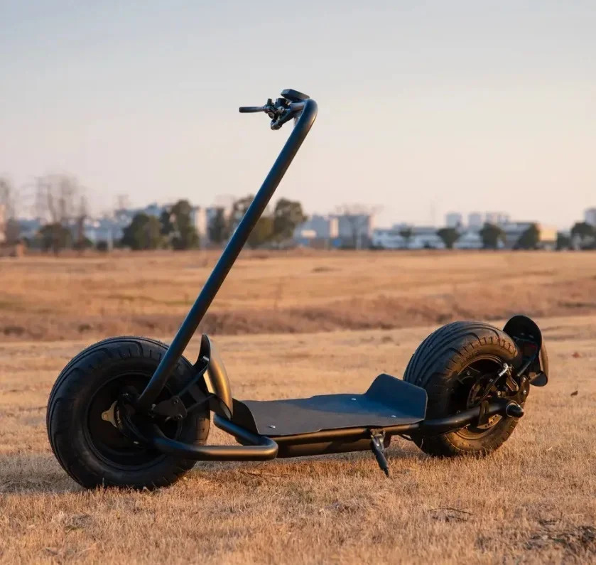 Qiaozhi Fat-Tire Citycoco Elektroroller mit Stahlrahmen & Scheibenbremsen – Bild 3