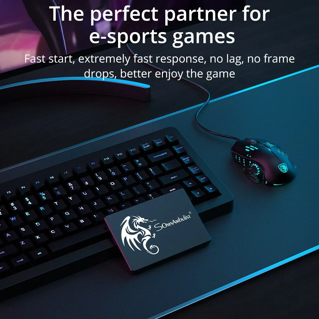 Interne Somnambulist SSD-Laufwerk von 120gb - 1TB – Bild 2