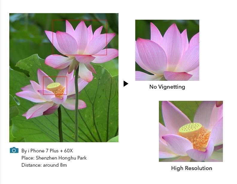 Apexel - Professionelles Teleskop – Bild 2