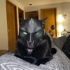 Katzenmaske für Katzen