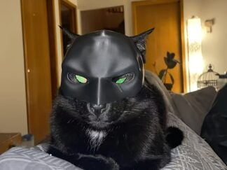 Katzenmaske für Katzen