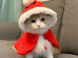 1-teiligesKatzen-Weihnachtskostüm