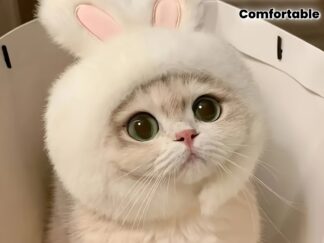 Oster-Mütze mit Hasenohren, geeignet für Katzen und kleine Hunde